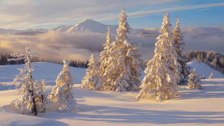 Où partir pour les vacances de Noël : notre guide exclusif