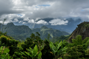Que faire à La Réunion ?