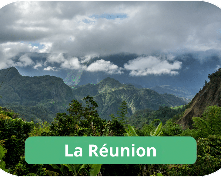 Conciergerie airbnb à La Réunion