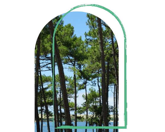 Votre conciergerie Airbnb dans Les Landes