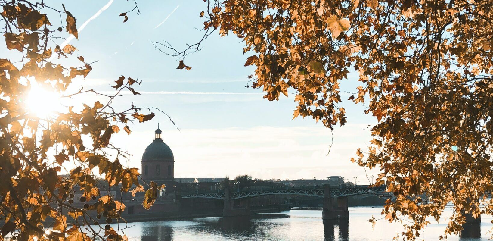 marion-p-5Vt95Vys_a0-unsplash marion-p-5Vt95Vys_a0-unsplash