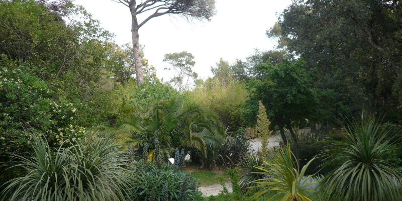 parc aréca