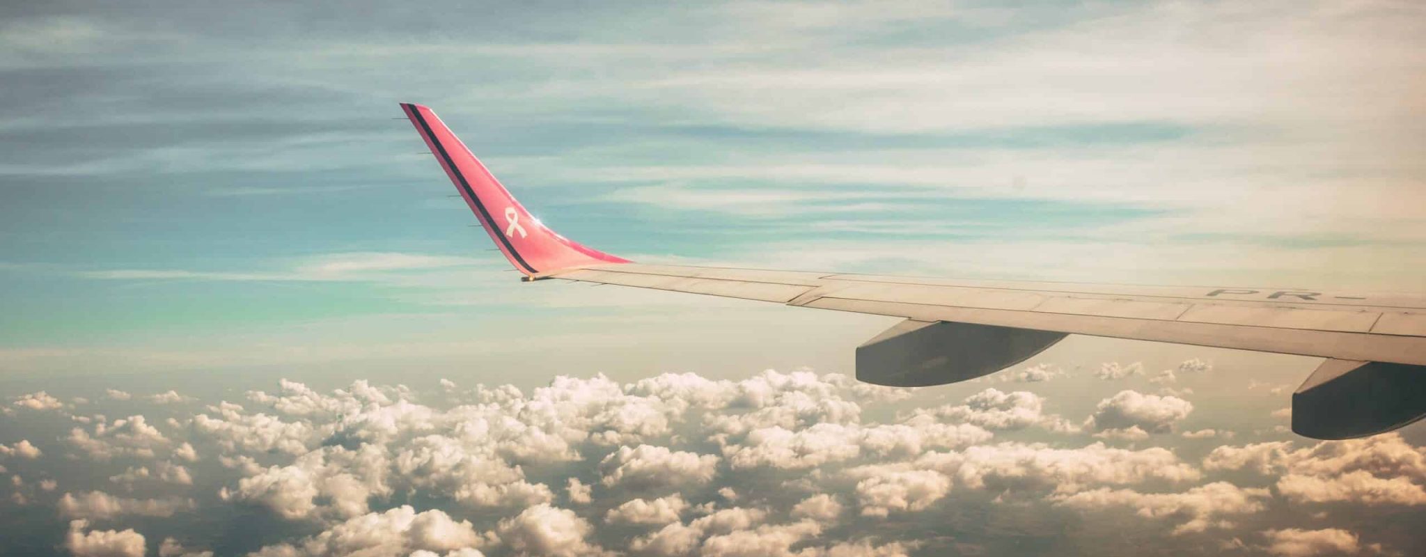 Flight